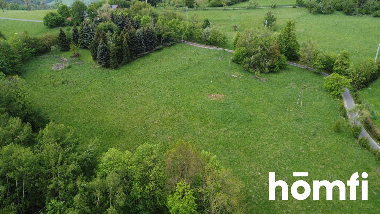 PRAWDZIWA OKAZJA! DZIAŁKA BUDOWLANA PRZY LESIE | 1,37 HA - Działka - Sprzedaż - Wałbrzyski, Walim