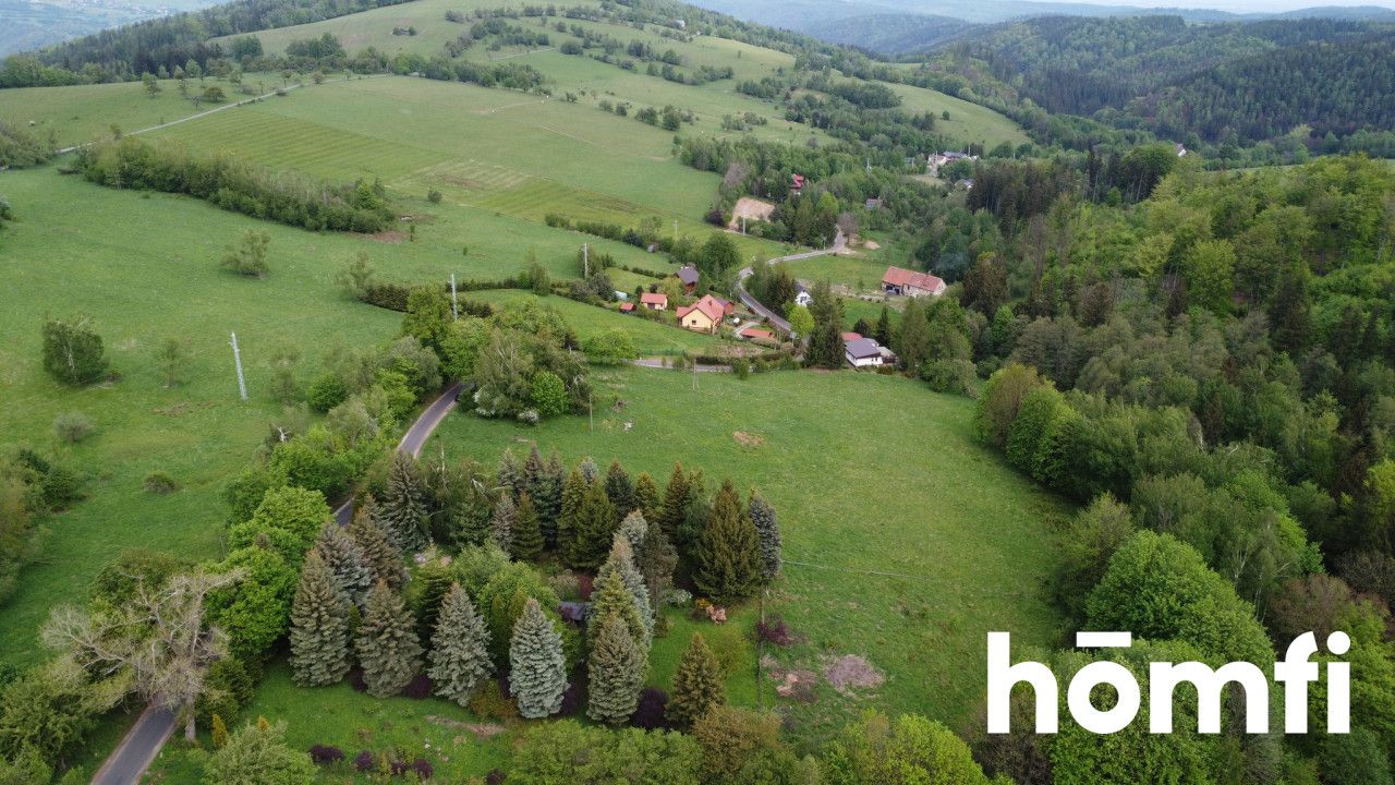 PRAWDZIWA OKAZJA! DZIAŁKA BUDOWLANA PRZY LESIE | 1,37 HA - Działka - Sprzedaż - Wałbrzyski, Walim