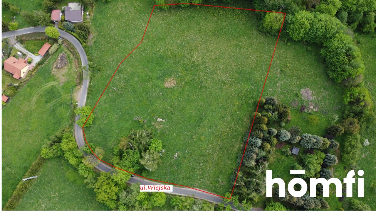 PRAWDZIWA OKAZJA! DZIAŁKA BUDOWLANA PRZY LESIE | 1,37 HA - Działka - Sprzedaż - Wałbrzyski, Walim