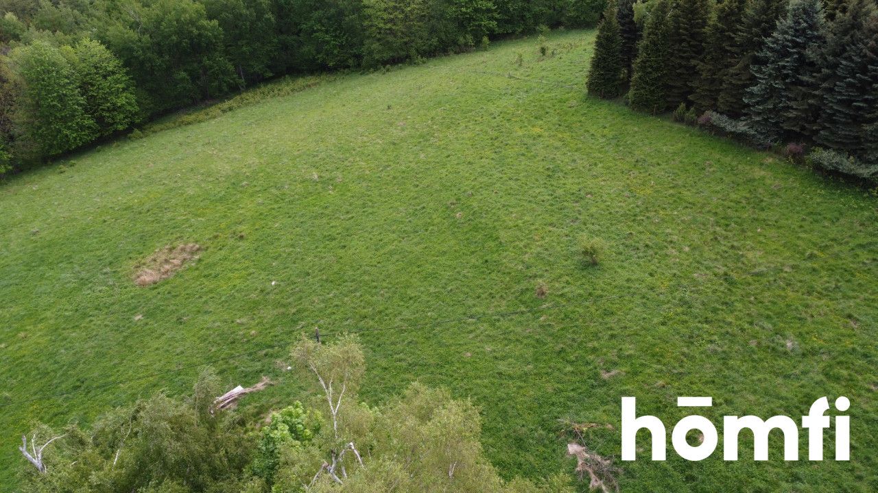 BUILDING Plot NEAR THE FOREST | 1.37 HA - Ділянка - Продаж - Wałbrzyski, Walim