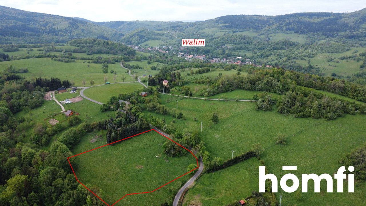 PRAWDZIWA OKAZJA! DZIAŁKA BUDOWLANA PRZY LESIE | 1,37 HA - Działka - Sprzedaż - Wałbrzyski, Walim