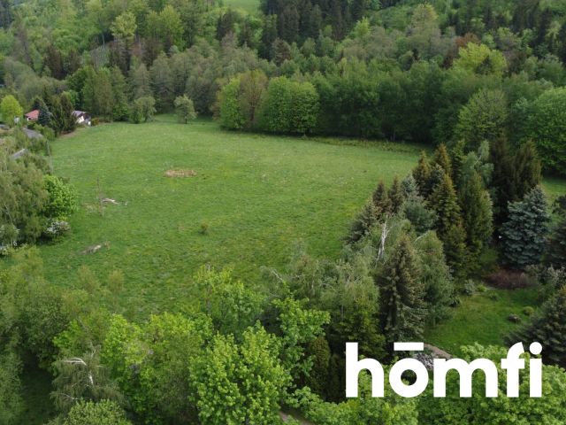 PRAWDZIWA OKAZJA! DZIAŁKA BUDOWLANA PRZY LESIE | 1,37 HA - Działka - Sprzedaż - Wałbrzyski, Walim