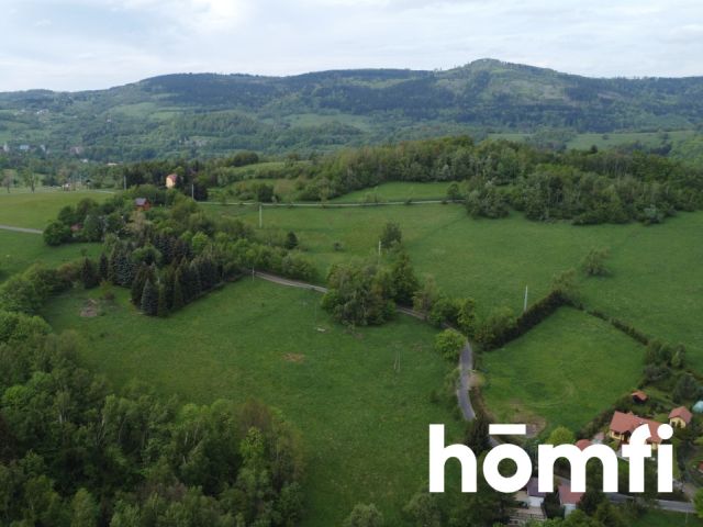 PRAWDZIWA OKAZJA! DZIAŁKA BUDOWLANA PRZY LESIE | 1,37 HA - Działka - Sprzedaż - Wałbrzyski, Walim