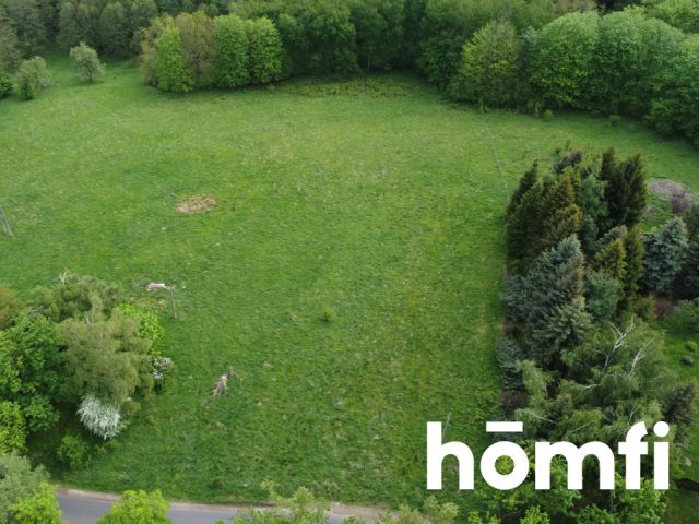 PRAWDZIWA OKAZJA! DZIAŁKA BUDOWLANA PRZY LESIE | 1,37 HA - Działka - Sprzedaż - Wałbrzyski, Walim