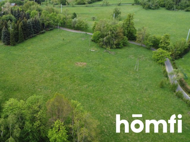 PRAWDZIWA OKAZJA! DZIAŁKA BUDOWLANA PRZY LESIE | 1,37 HA - Działka - Sprzedaż - Wałbrzyski, Walim