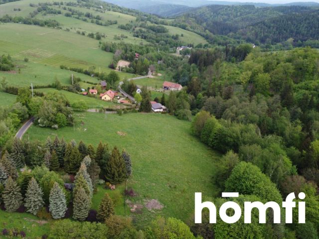 PRAWDZIWA OKAZJA! DZIAŁKA BUDOWLANA PRZY LESIE | 1,37 HA - Działka - Sprzedaż - Wałbrzyski, Walim