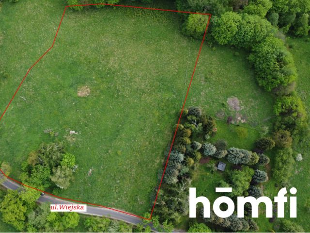 PRAWDZIWA OKAZJA! DZIAŁKA BUDOWLANA PRZY LESIE | 1,37 HA - Działka - Sprzedaż - Wałbrzyski, Walim