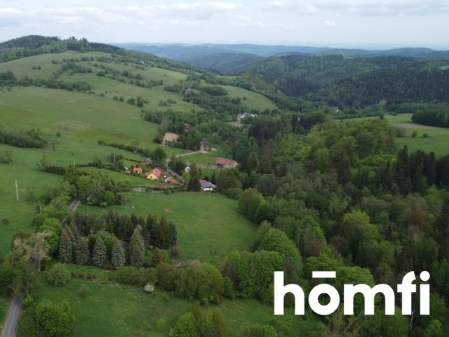 PRAWDZIWA OKAZJA! DZIAŁKA BUDOWLANA PRZY LESIE | 1,37 HA - Działka - Sprzedaż - Wałbrzyski, Walim