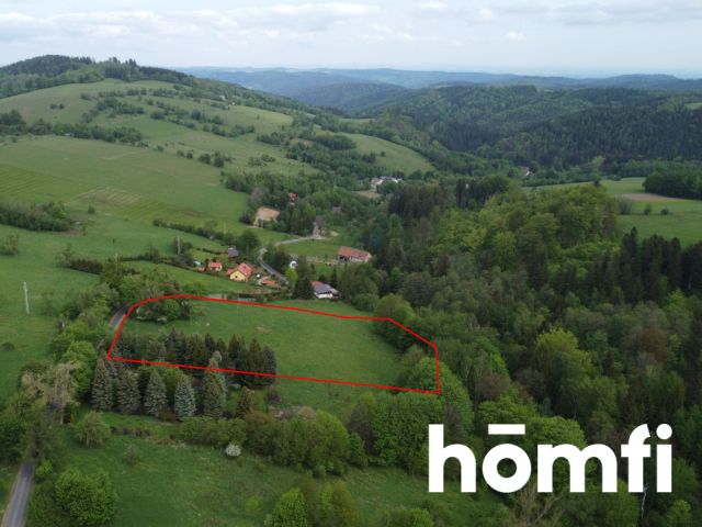 PRAWDZIWA OKAZJA! DZIAŁKA BUDOWLANA PRZY LESIE | 1,37 HA - Działka - Sprzedaż - Wałbrzyski, Walim