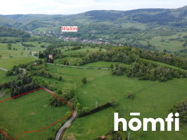 PRAWDZIWA OKAZJA! DZIAŁKA BUDOWLANA PRZY LESIE | 1,37 HA - Działka - Sprzedaż - Wałbrzyski, Walim