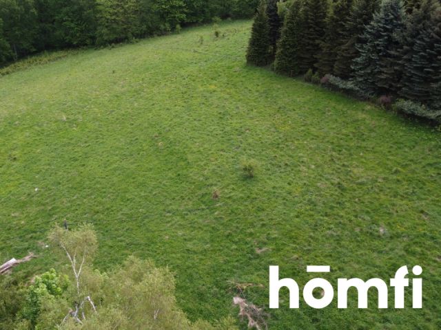 PRAWDZIWA OKAZJA! DZIAŁKA BUDOWLANA PRZY LESIE | 1,37 HA - Działka - Sprzedaż - Wałbrzyski, Walim