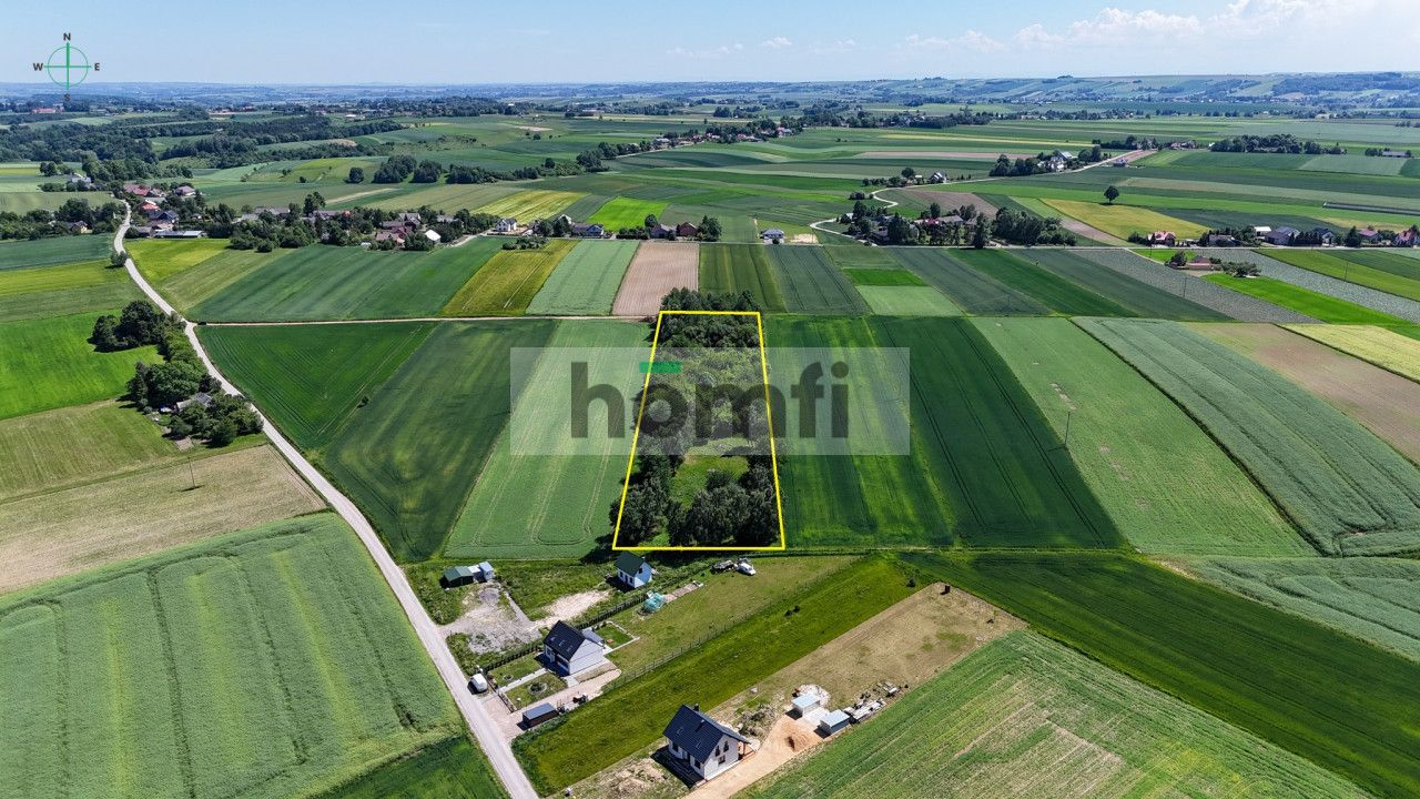 Działka 100,37 ar | Poręba Dzierżna | Wolbrom - Plot - Sale - Olkuski, Wolbrom / Poręba Dzierżna