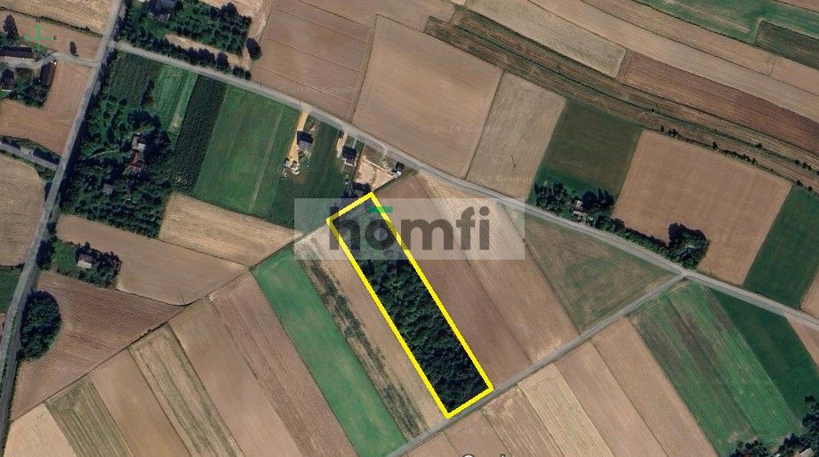 Działka 100,37 ar | Poręba Dzierżna | Wolbrom - Plot - Sale - Olkuski, Wolbrom / Poręba Dzierżna