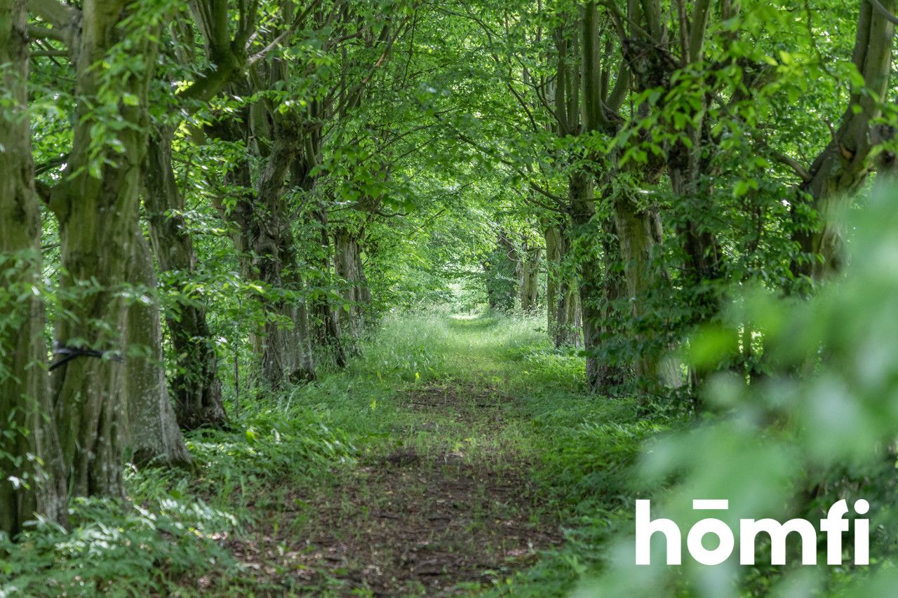 Pałac w stanie deweloperskim - Lokal użytkowy - Sprzedaż - Kolski, Dąbie / Karszew