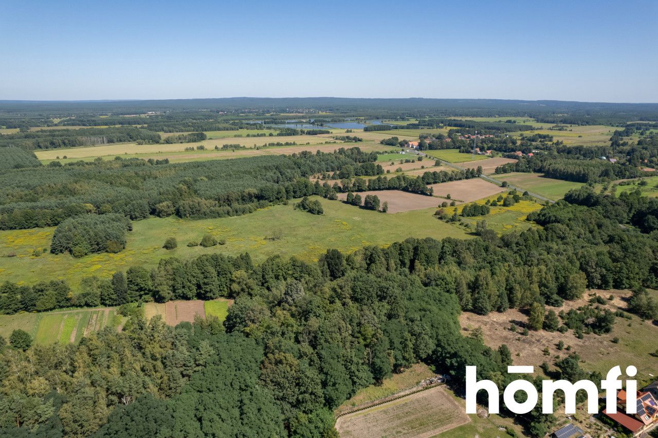 PROMOCJA Na sprzedaż trzy sąsiednie działki tworzące wielki prostokąt o powierzchni niespełna 1,5 ha! - Działka - Sprzedaż - Trzebnicki, Trzebnica / Kuźniczysko