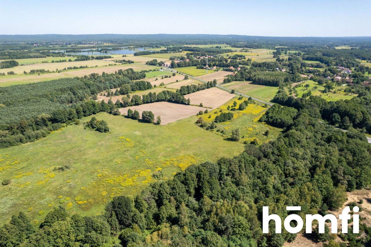 PROMOCJA Na sprzedaż trzy sąsiednie działki tworzące wielki prostokąt o powierzchni niespełna 1,5 ha! - Działka - Sprzedaż - Trzebnicki, Trzebnica / Kuźniczysko