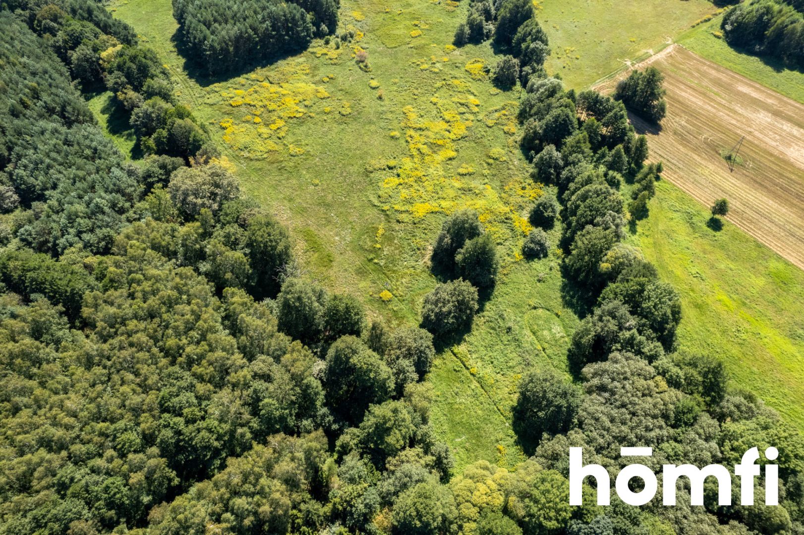 PROMOCJA Na sprzedaż piękna działka pod lasem! - Działka - Sprzedaż - Trzebnicki, Trzebnica / Kuźniczysko