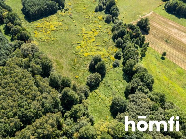 PROMOCJA Na sprzedaż piękna działka pod lasem! - Działka - Sprzedaż - Trzebnicki, Trzebnica / Kuźniczysko