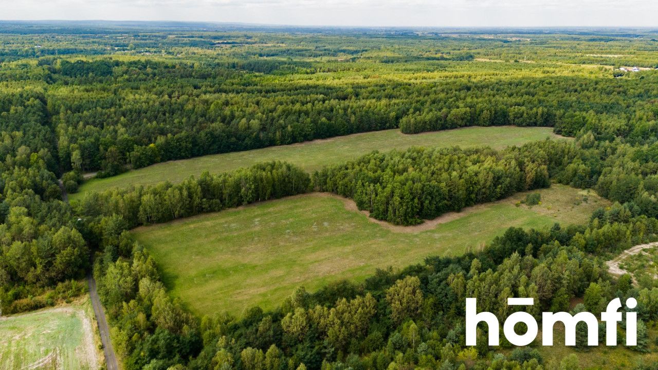 Plots for big commercial investment or housing estates building - Plot - Sale - Szydłowiecki, Szydłowiec / Jankowice