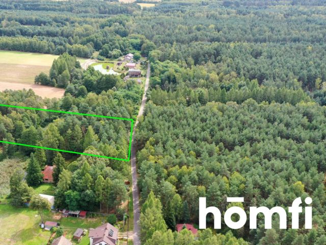 Plot with Koski shoreline 26km from Częstochowa - Plot - Sale - Kłobucki, Panki