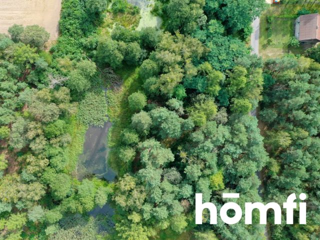 Plot with Koski shoreline 26km from Częstochowa - Plot - Sale - Kłobucki, Panki