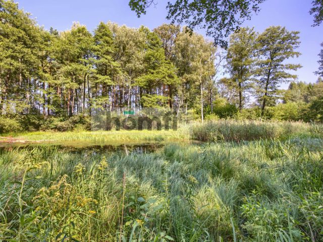 Plot with Koski shoreline 26km from Częstochowa - Plot - Sale - Kłobucki, Panki