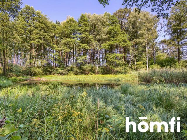 Plot with Koski shoreline 26km from Częstochowa - Plot - Sale - Kłobucki, Panki