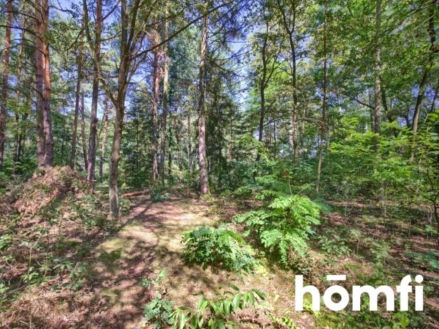 Plot with Koski shoreline 26km from Częstochowa - Plot - Sale - Kłobucki, Panki