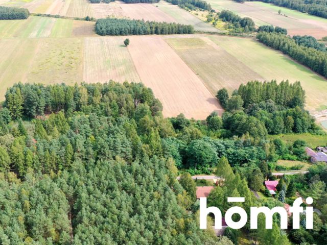 Plot with Koski shoreline 26km from Częstochowa - Plot - Sale - Kłobucki, Panki