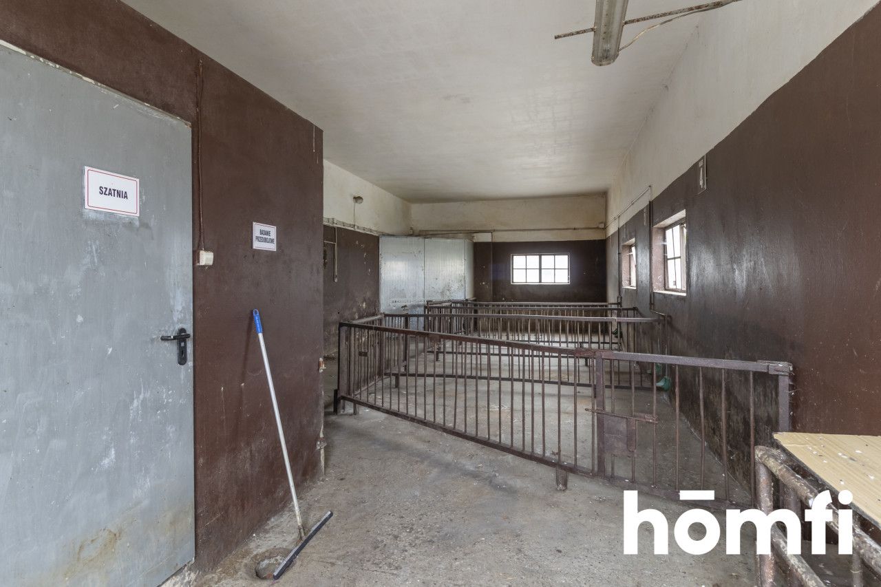 Obiekt z wyposażeniem lub bez i dodatkowym placem - Lokal użytkowy - Wynajem - Radomski, Zakrzew / Dąbrówka Nagórna-Wieś