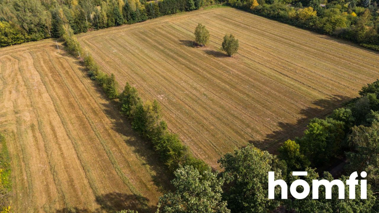 Big, nice plot with fresh agreement for building 8 houses - Ділянка - Продаж - Radomski, Skaryszew / Makowiec