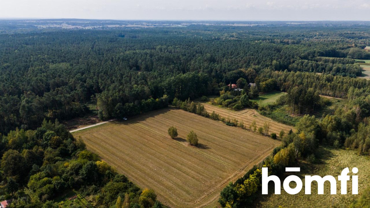 Big, nice plot with fresh agreement for building 8 houses - Ділянка - Продаж - Radomski, Skaryszew / Makowiec
