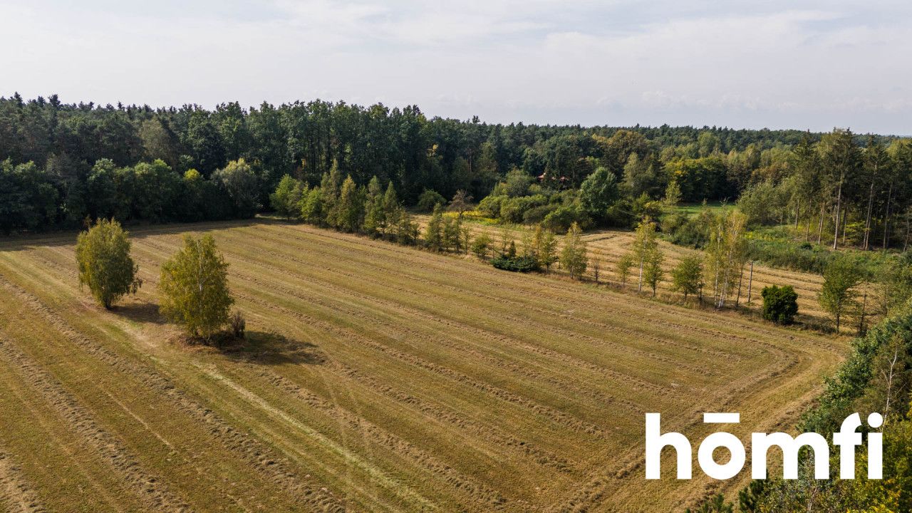 Big, nice plot with fresh agreement for building 8 houses - Ділянка - Продаж - Radomski, Skaryszew / Makowiec