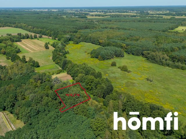 PROMOCJA Na sprzedaż działka z pięknym zadrzewieniem! - Działka - Sprzedaż - Trzebnicki, Trzebnica / Masłowiec