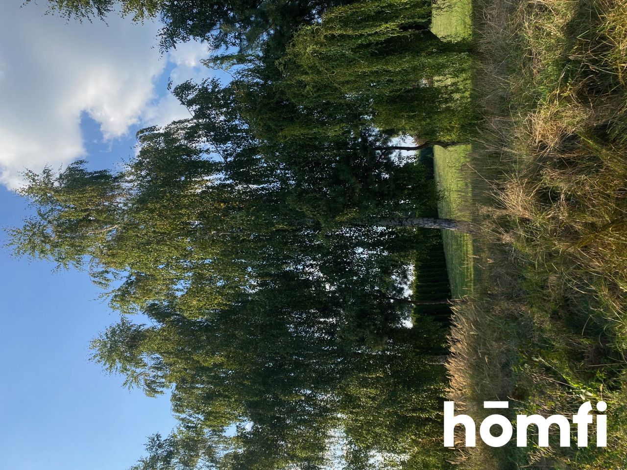 Działka budowlana z WZ, 3 414 m2 - Działka - Sprzedaż - Radomski, Zakrzew / Dąbrówka Nagórna-Wieś