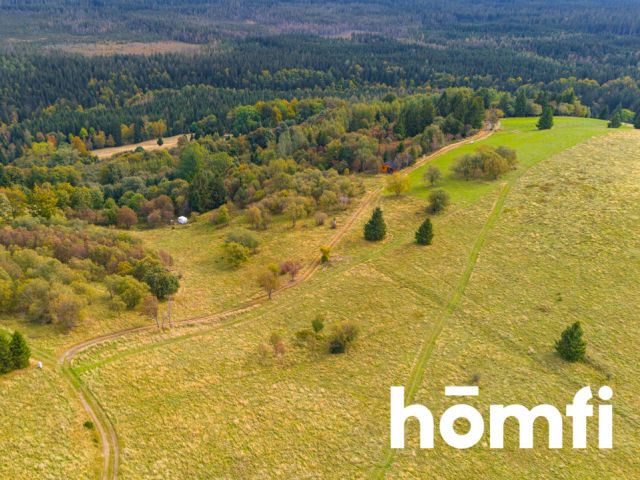 INVESTMENT PLOT IN THE CENTER OF ZIELENIEC - Plot - Sale - Kłodzki, Duszniki-Zdrój / Zieleniec