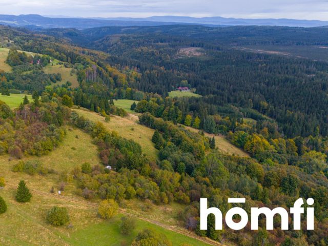 INVESTMENT PLOT IN THE CENTER OF ZIELENIEC - Plot - Sale - Kłodzki, Duszniki-Zdrój / Zieleniec