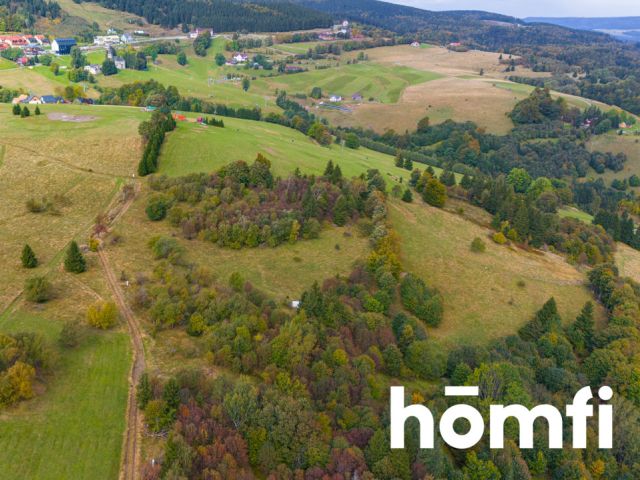 INVESTMENT PLOT IN THE CENTER OF ZIELENIEC - Plot - Sale - Kłodzki, Duszniki-Zdrój / Zieleniec