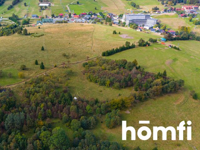 INVESTMENT PLOT IN THE CENTER OF ZIELENIEC - Plot - Sale - Kłodzki, Duszniki-Zdrój / Zieleniec