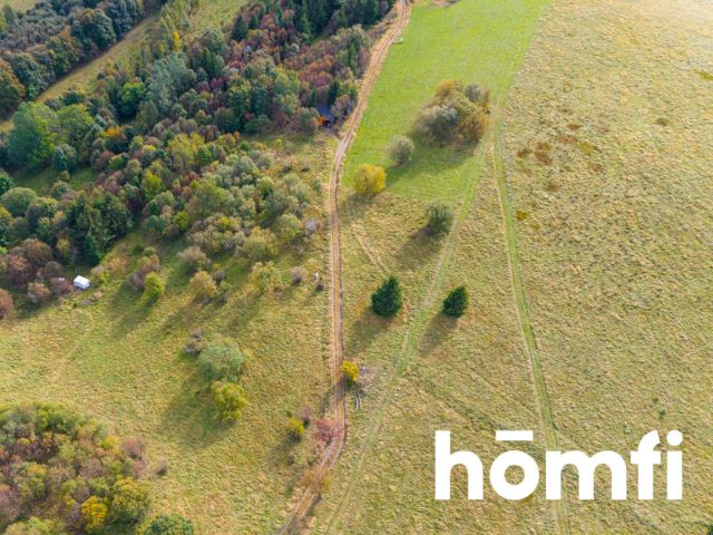 INVESTMENT PLOT IN THE CENTER OF ZIELENIEC - Plot - Sale - Kłodzki, Duszniki-Zdrój / Zieleniec