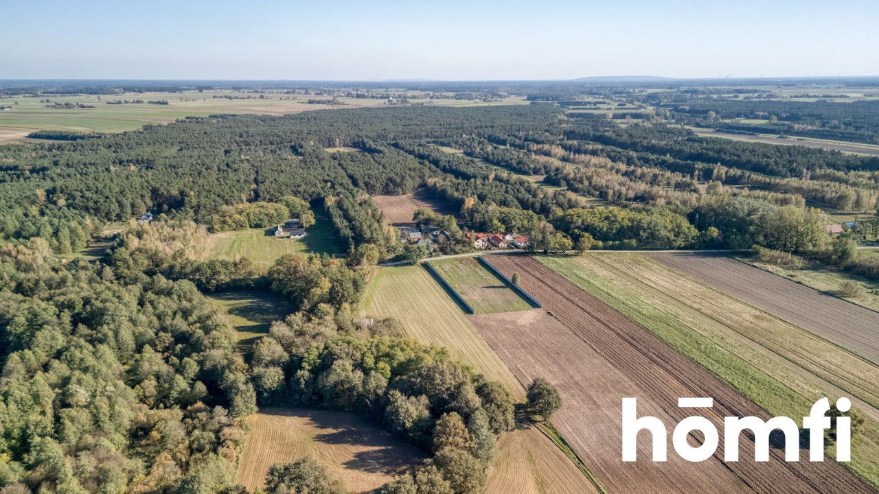 Picturesque building plots for sale - Plot - Sale - Łaski, Widawa / Siemiechów