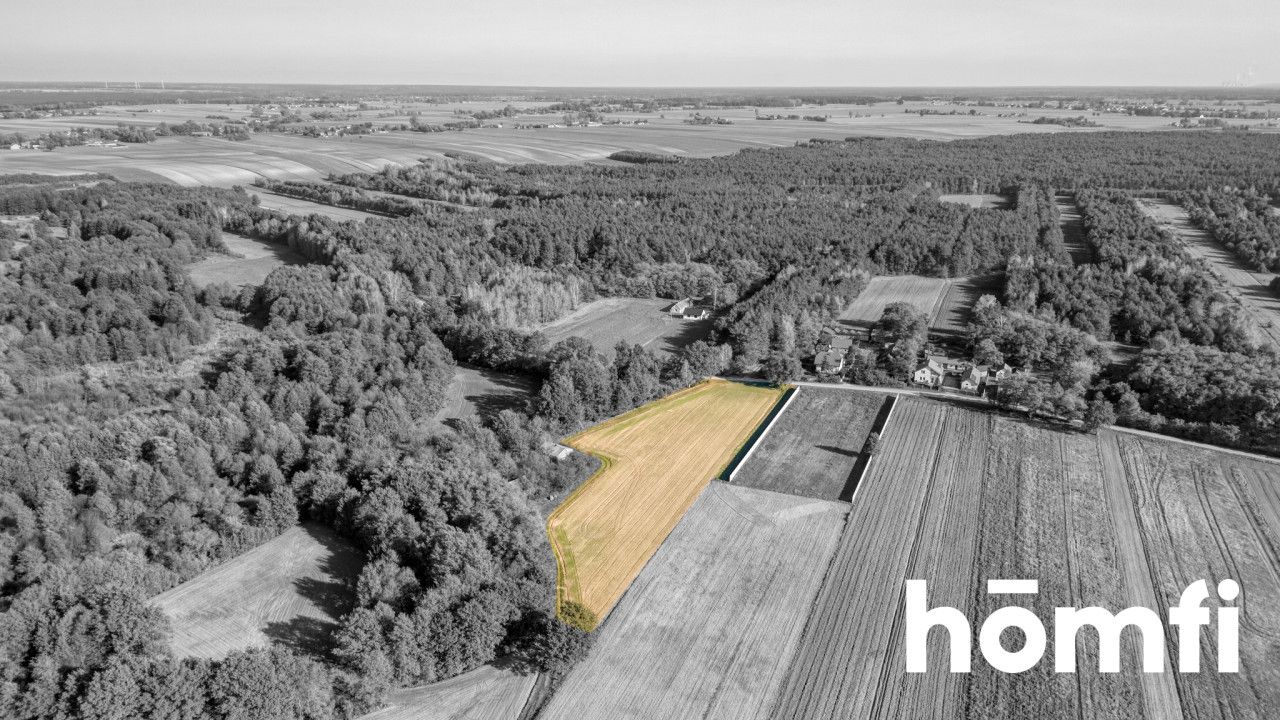 Picturesque building plots for sale - Plot - Sale - Łaski, Widawa / Siemiechów