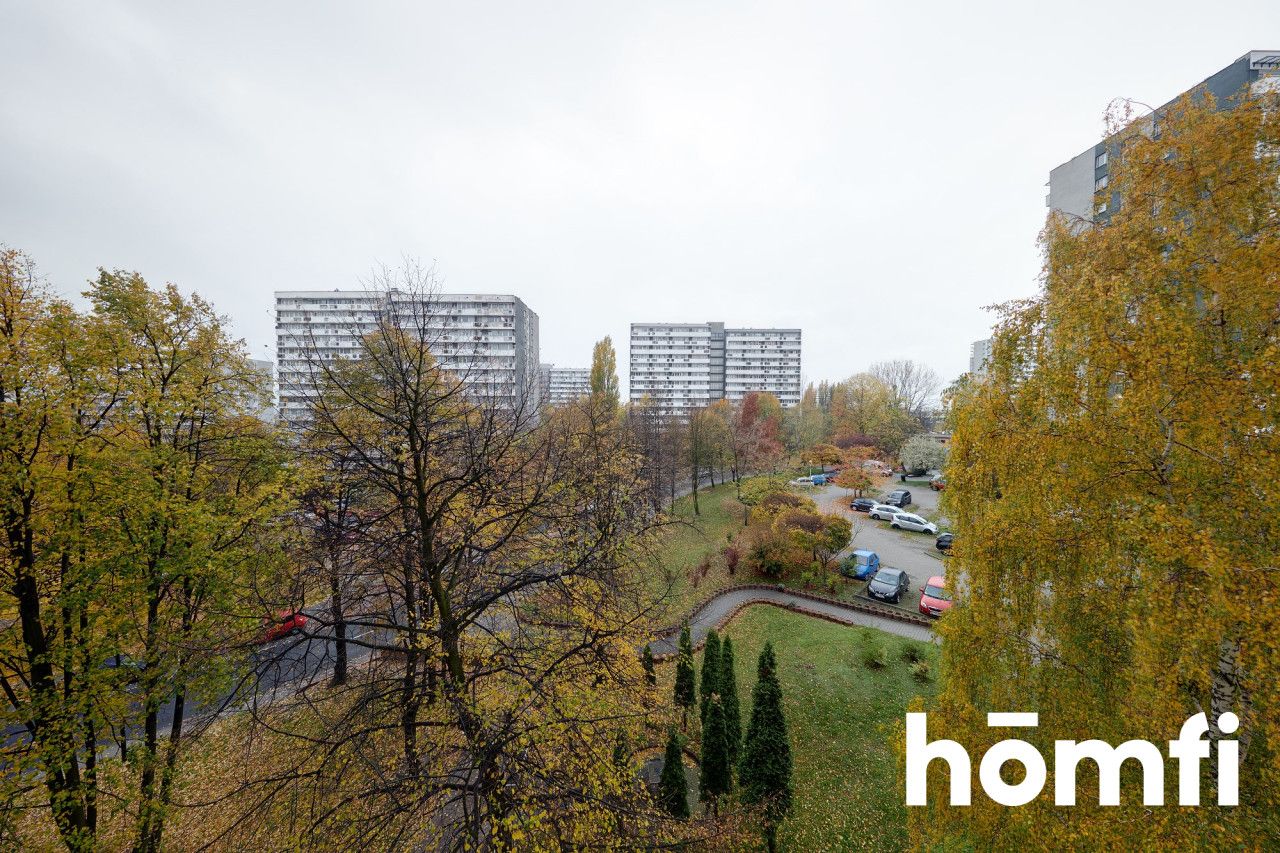 4 Pokoje w Zielonym Sercu Osiedla Tysiąclecia - Mieszkanie - Wynajem - Katowice, Tysiąclecia