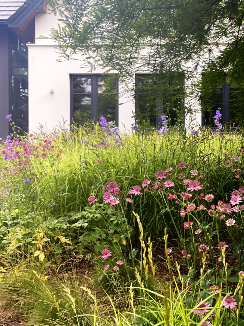Atmospheric house in a quiet area - House - Sale - Puławski, Kurów / Buchałowice