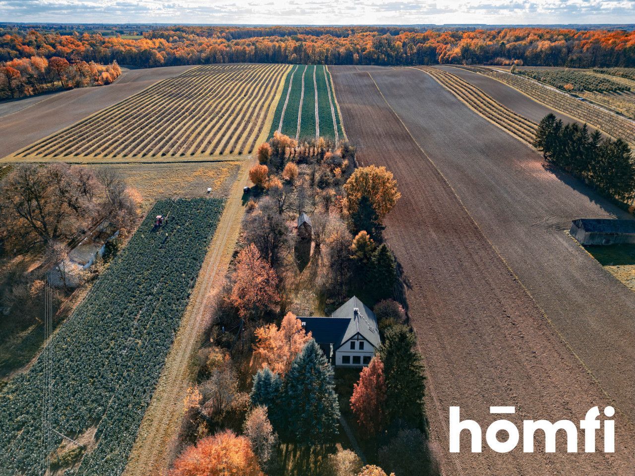 Atmospheric house in a quiet area - House - Sale - Puławski, Kurów / Buchałowice
