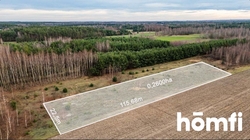 Agricultural plot with construction potential - Plot - Sale - Radom, Nowa Wola Gołębiowska