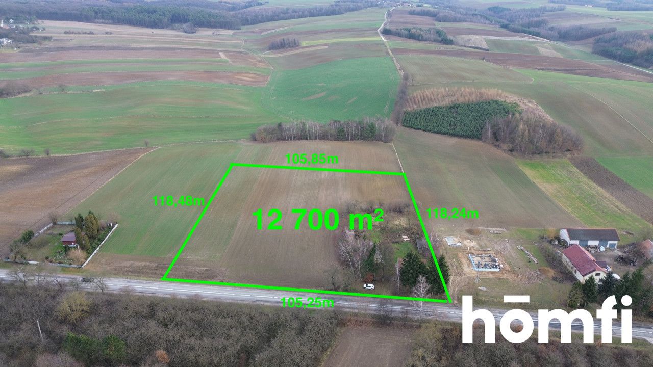 A unique place with huge potential – Lipówka - Дім - Продаж - Pińczowski, Działoszyce / Lipówka