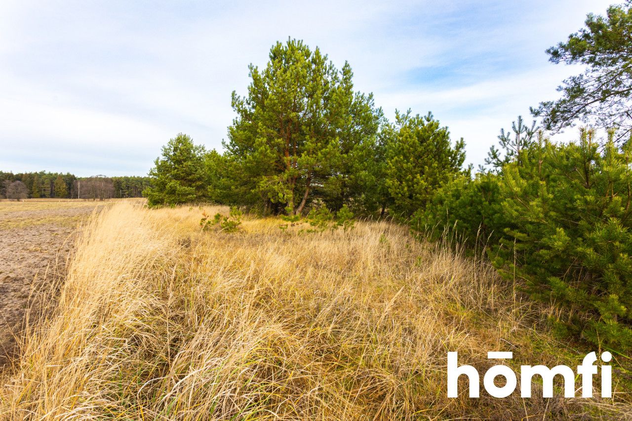 Large Land with potential in Anastazewo on Lake Budzisławskie - Ділянка - Продаж - Słupecki, Powidz / Anastazewo
