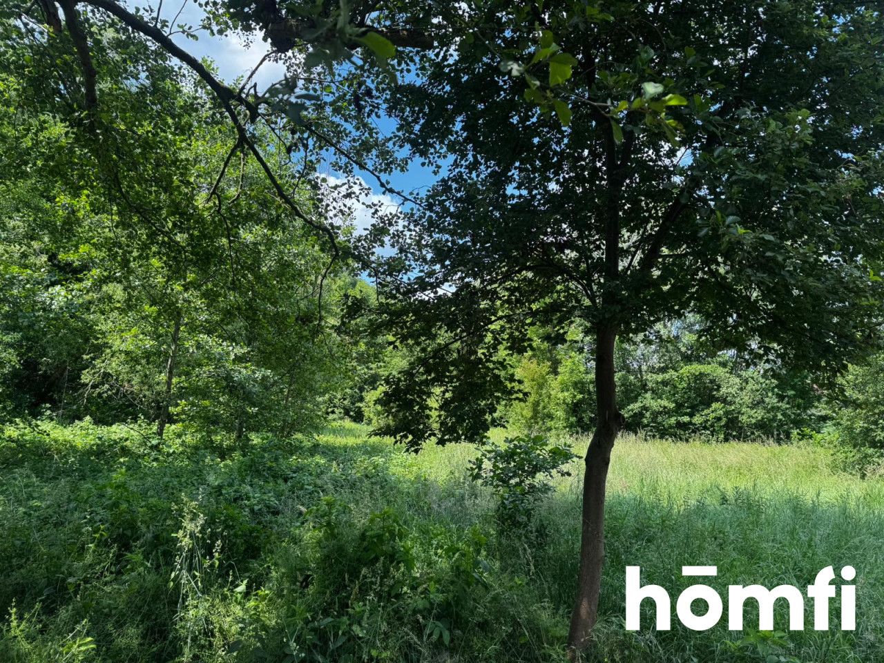 Plot with development conditions | peace and quiet - Ділянка - Продаж - Grodziski, Jaktorów / Budy Zosine