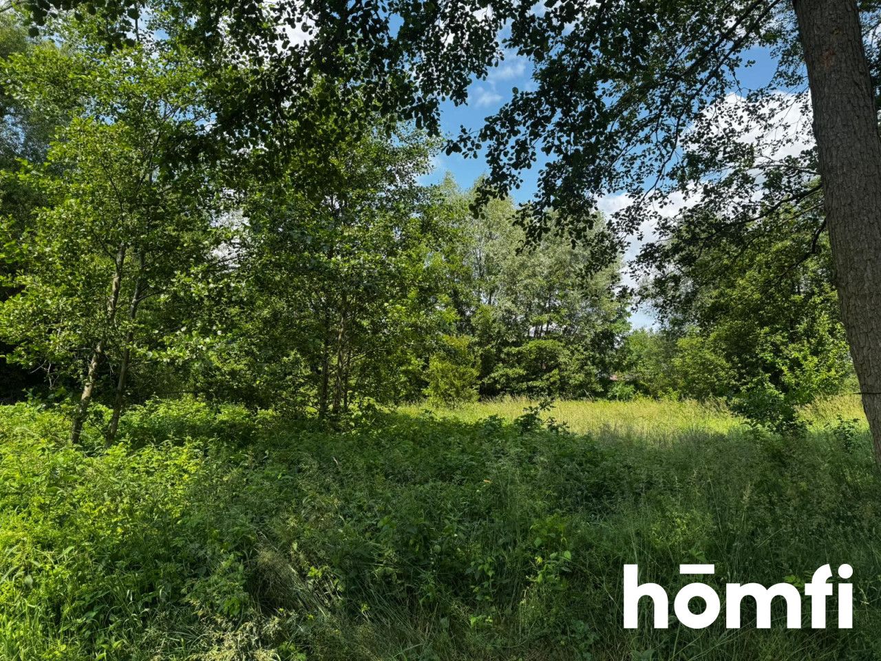 Plot with development conditions | peace and quiet - Ділянка - Продаж - Grodziski, Jaktorów / Budy Zosine